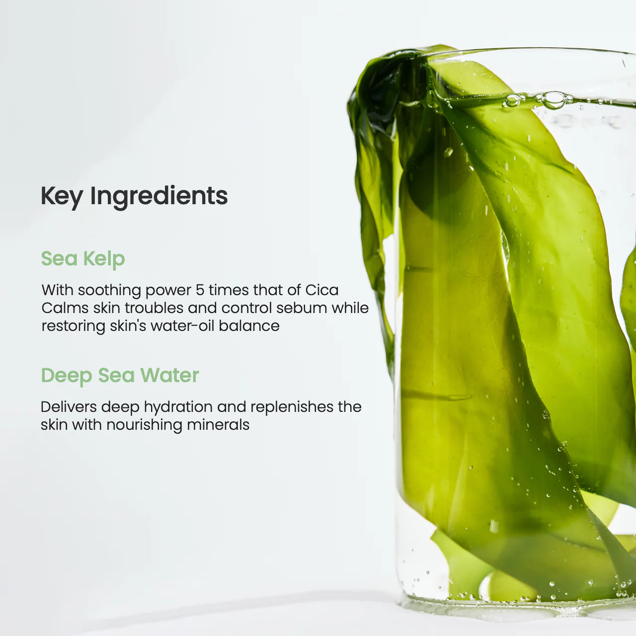 Biodance - Refreshing Sea Kelp Real Deep Mask Set - Image 7